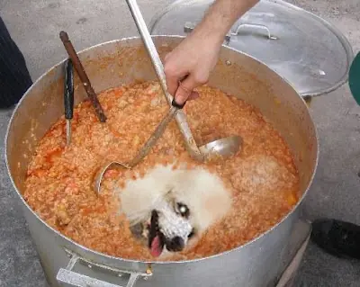 Consumo De Carne De Perro En Chile