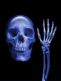 terror