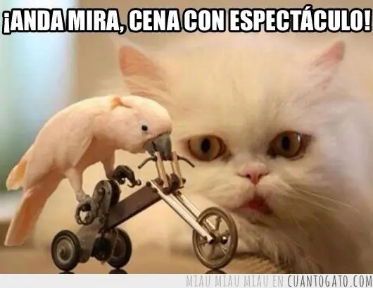 pensamientos