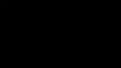 megapost