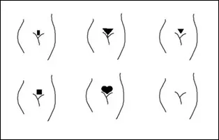 vagina