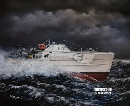 1943, david contra goliath, s100 schnellboot