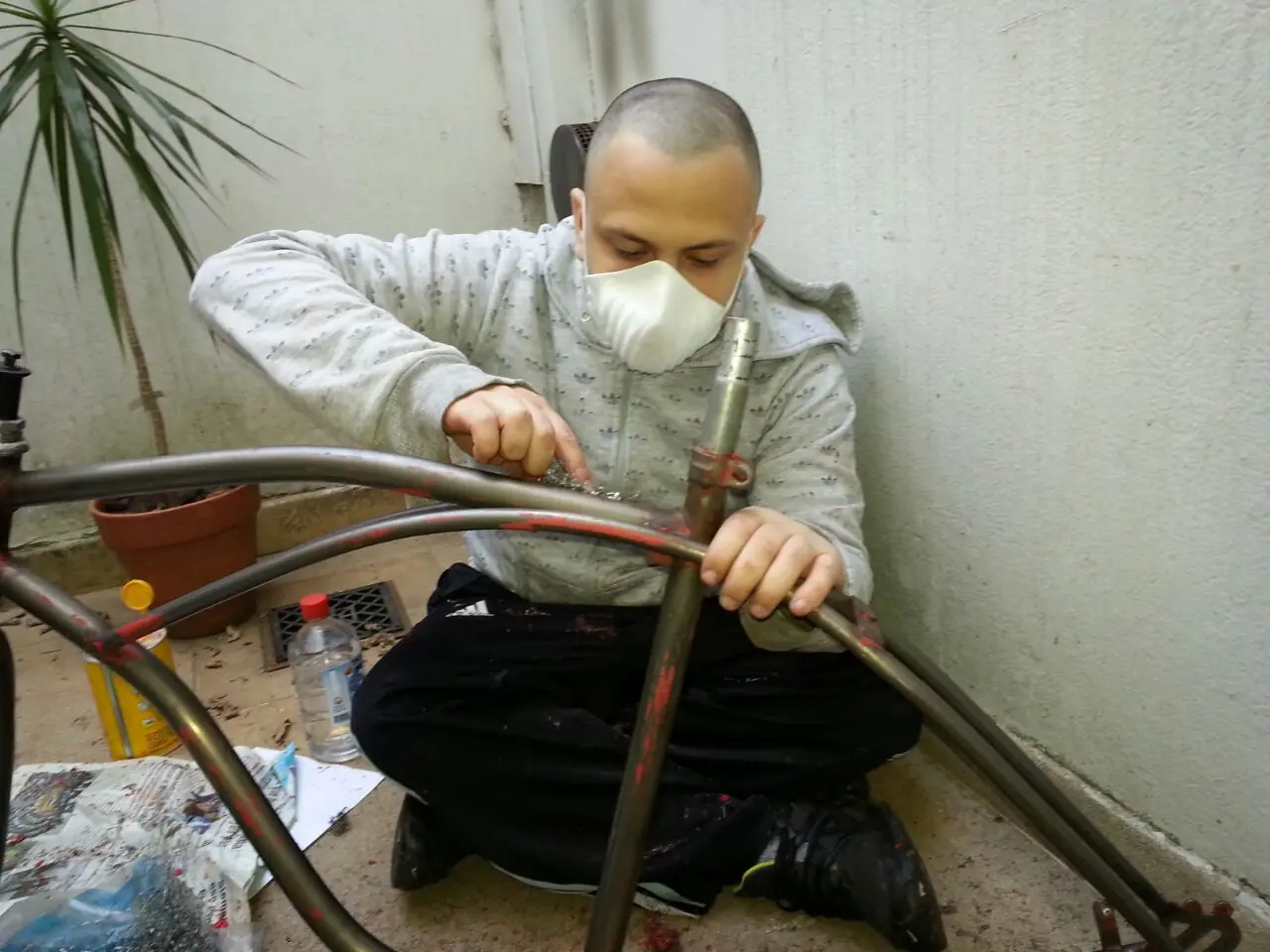 restauracion