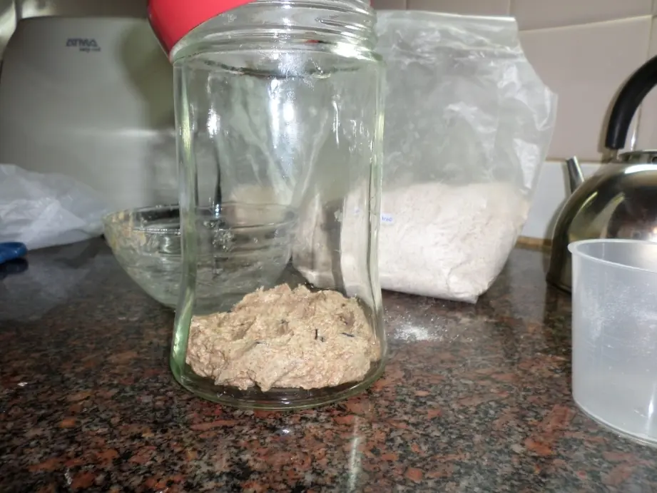 masa madre