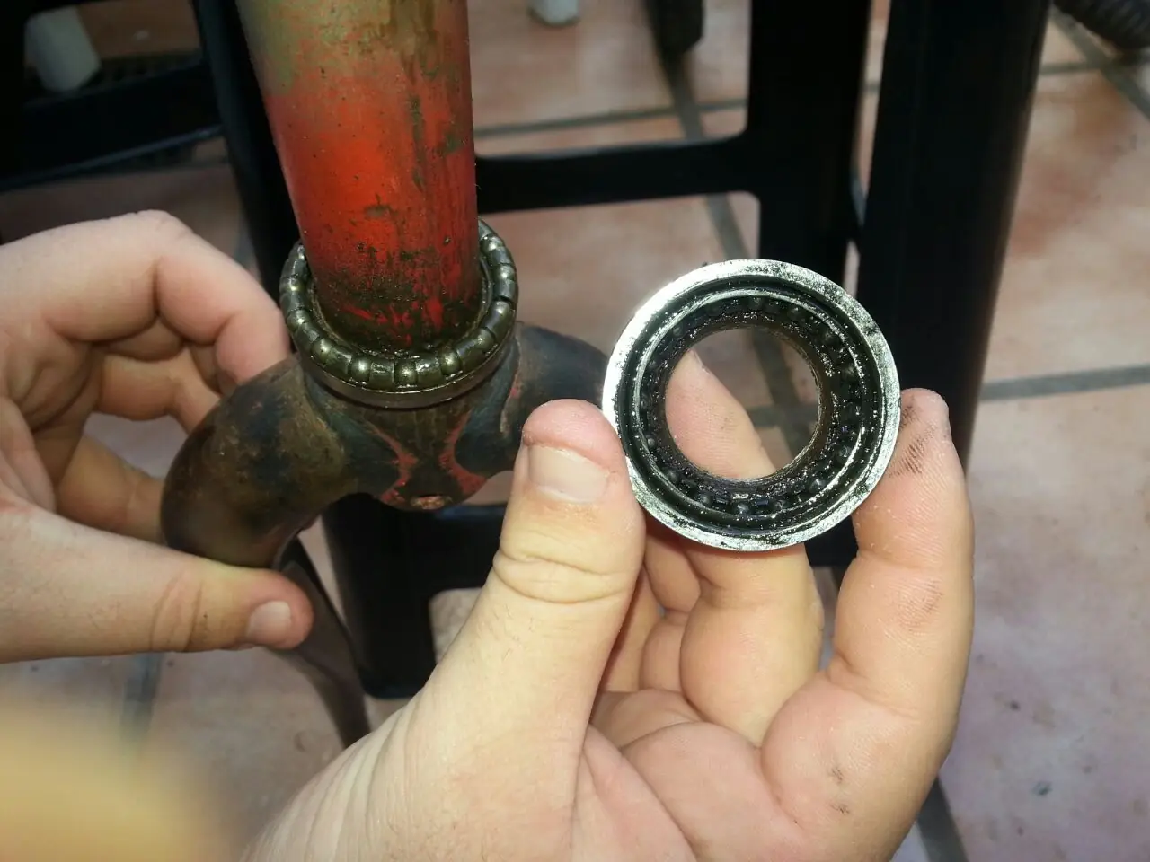 restauracion