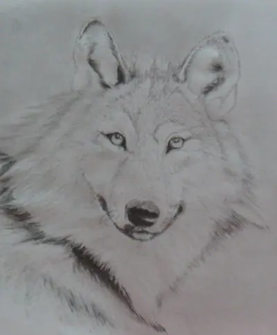 Dibujo