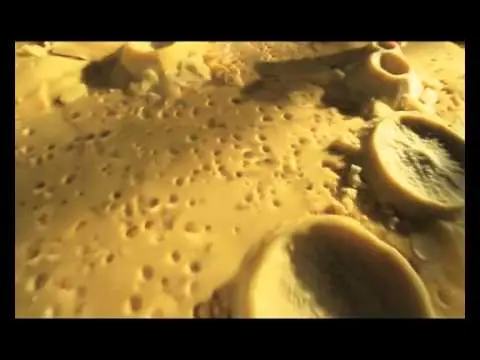 queso