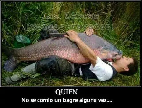 Humor...Megapost...Ochooo