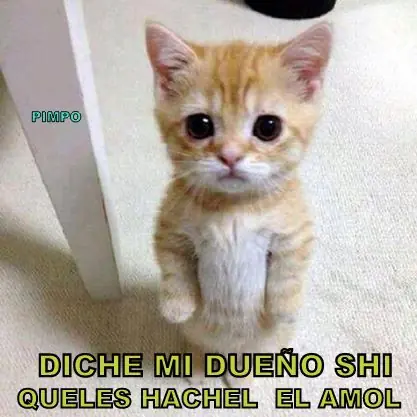 Humor Grafico