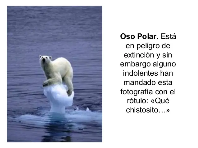 Te cuento como va a acabar el Mundo.