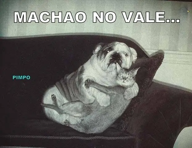 humor
