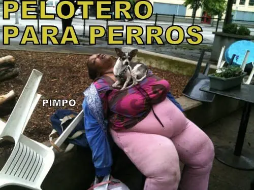 Humor Grafico