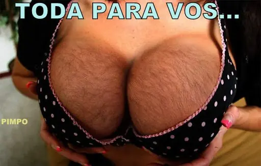 Humor Grafico