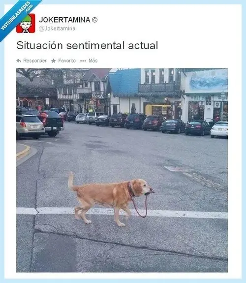 Humor...Megapost...Ochooo