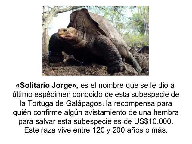 calentamiento global