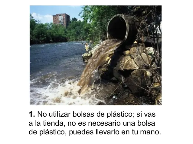 extinciones masivas
