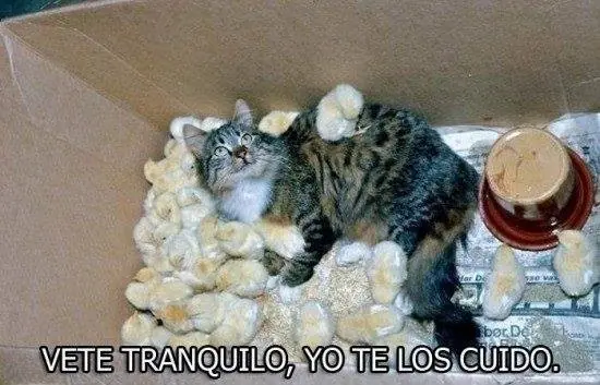 frases