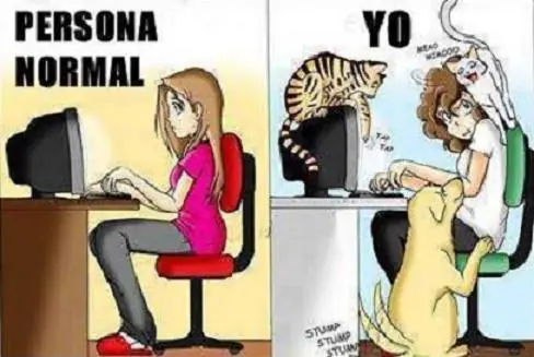 pensamientos