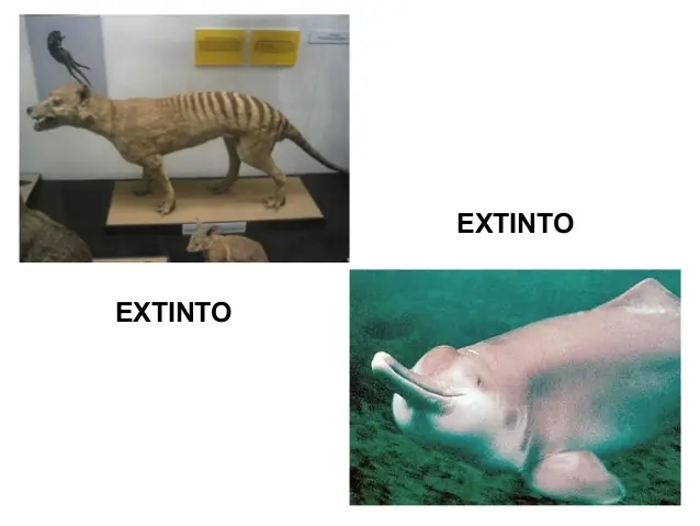 contaminacion