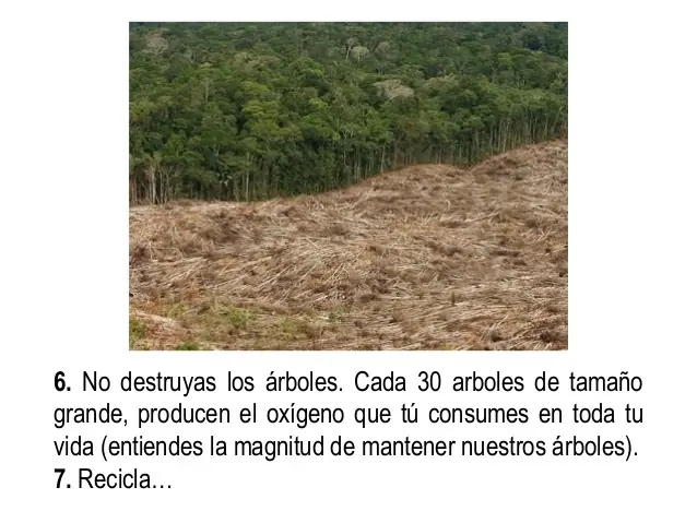 Planeta