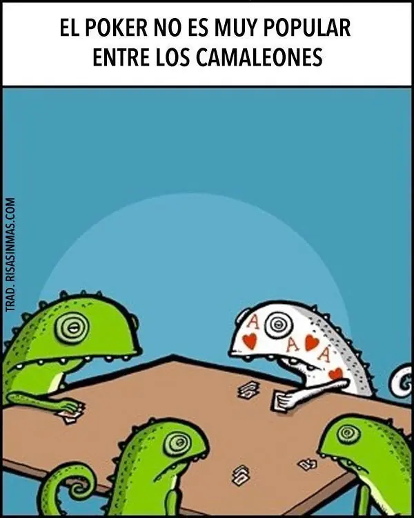 Humor...Megapost...Ochooo