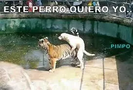 Humor Grafico