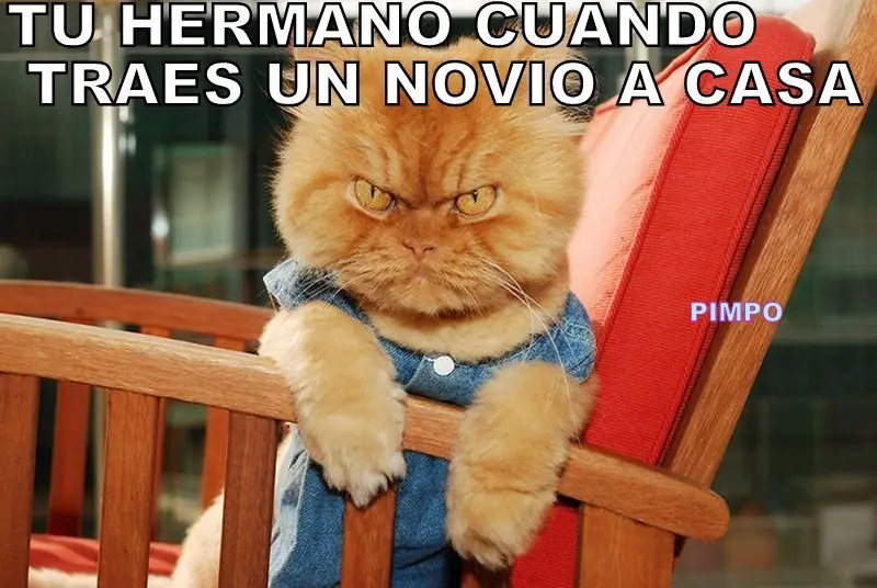 Humor Grafico