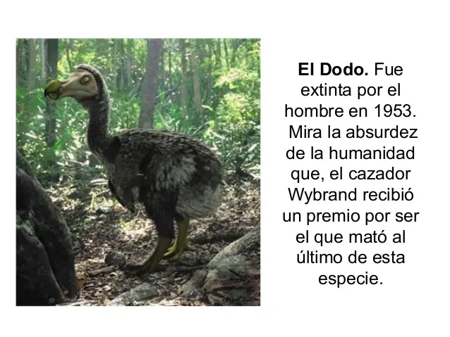 extinciones masivas