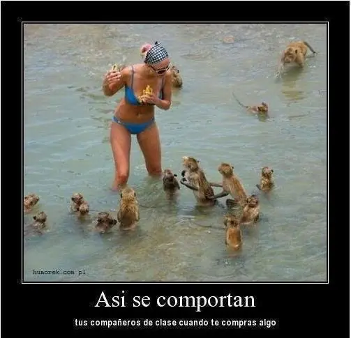 pensamientos