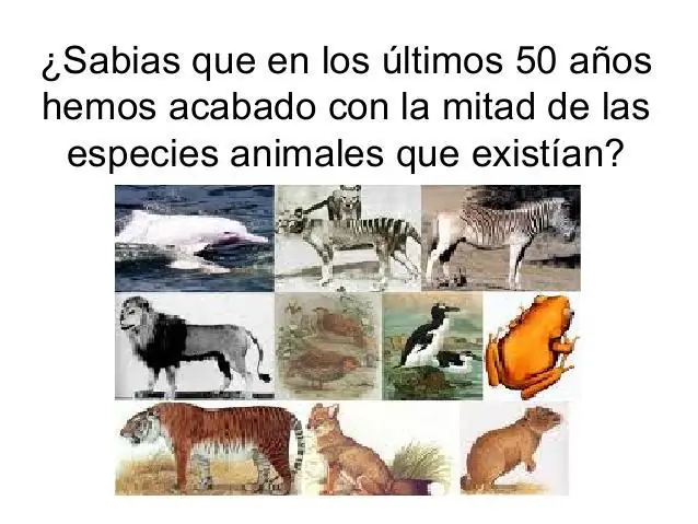 Planeta