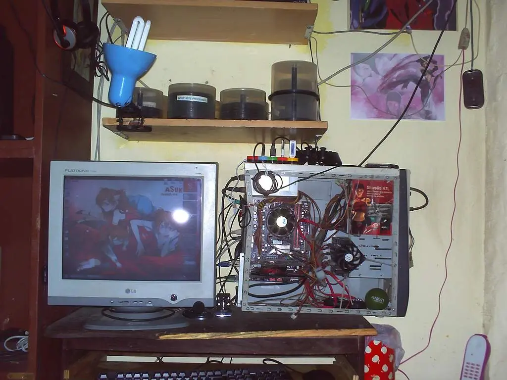 Hikikomori, encerrarse en una habitación por Años