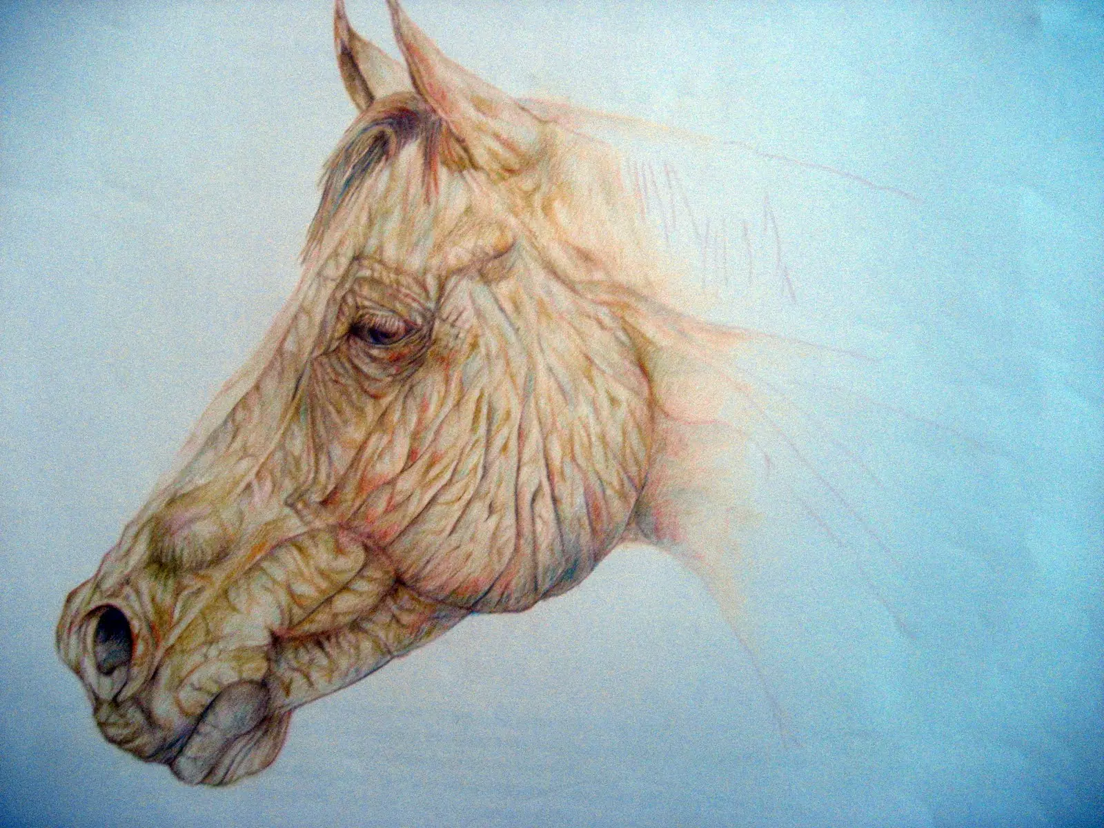 Dibujo de caballo con piel de elefante (Con Lapices)
