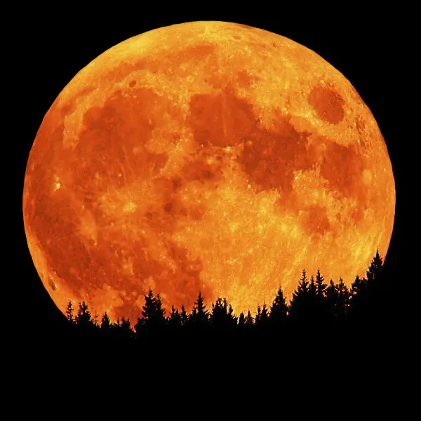 Evidencia irrefutables sobre que la Luna esta hecha de queso