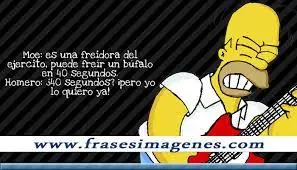 las mejores frases de los simpson