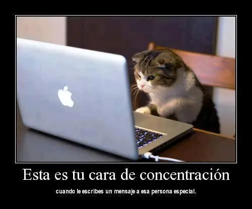 Muchas imágenes graciosas 2º Parte.