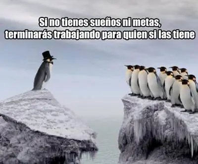 fracasos
