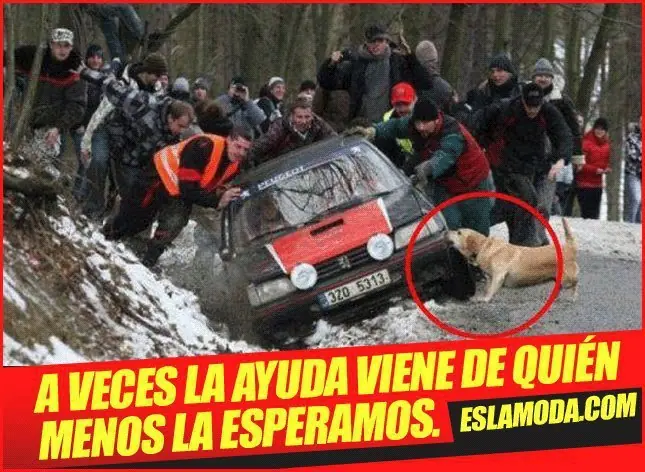 Muchas imágenes graciosas 2º Parte.