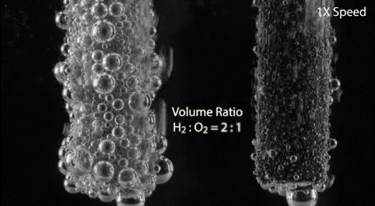 reaciones a nivel microscopico