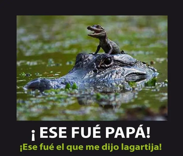 Chistes