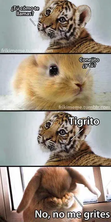 risas