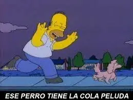 humberto velez