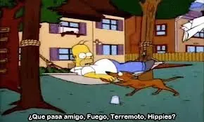bart