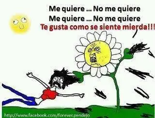 Muchas imágenes graciosas 2º Parte.