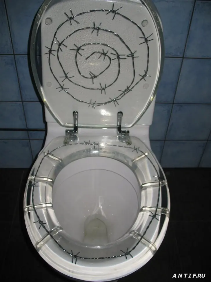 ¿Te animas a usar estos baños?
