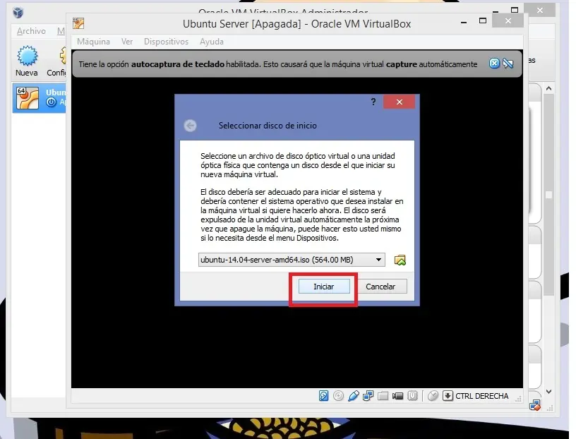MySQL
