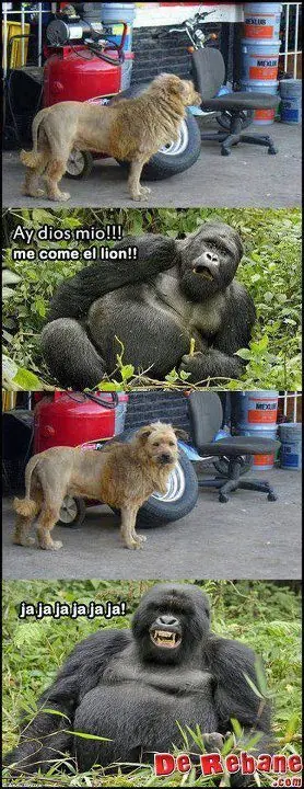 humor