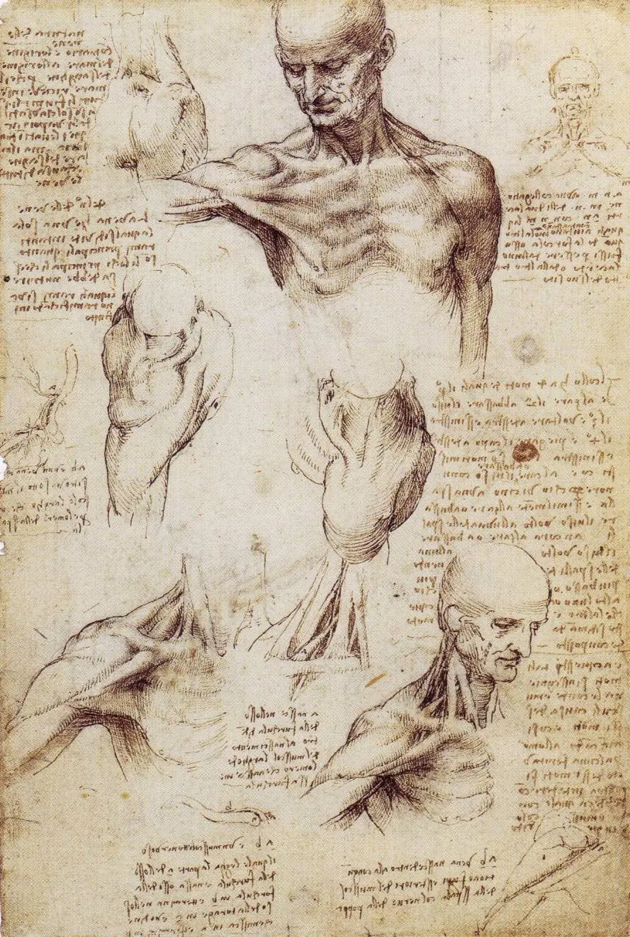 Un poco de Leonardo da Vinci