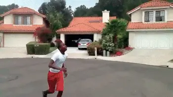 vida