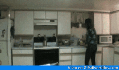 Humor de gifs
