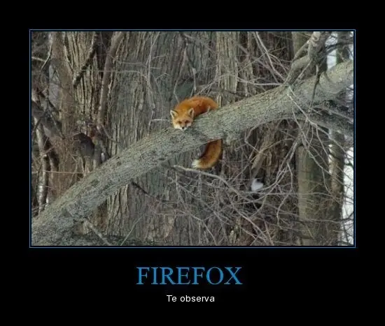 humor